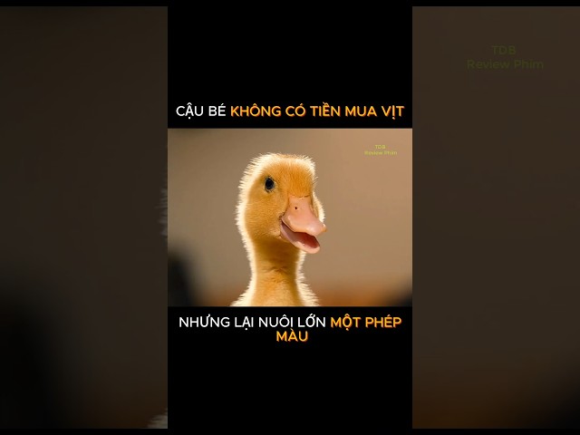 MỘT CÂU CHUYỆN NHỎ VỀ NIỀM TIN VÀ TÌNH YÊU THƯƠNG #youtubeshorts #reviewphim #reviewphimngắn