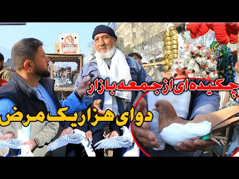 چکیده ای از جمعه بازار- شوق دوای هزار یک مرض || 15 صفت در یک کفتر | Biggest Pigeons Market Kabul