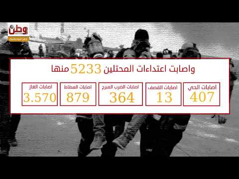 16 شهيداً وآلاف الجرحى.. حصيلة اعتداءات الاحتلال خلال هبة العاصمة