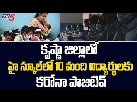 10 govt school students tested positive to Covid-19 in Krishna district 10 govt school students tested positive to Covid-19 in Krishna district