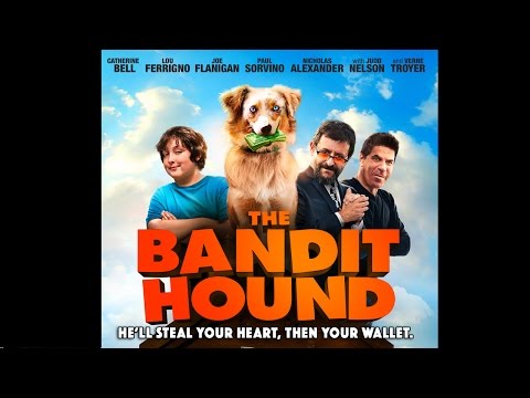 The Bandit Hound'