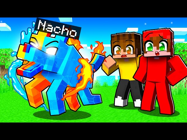Jugando Como un PERRO ELEMENTAL para Trollear a Mis Amigos en Minecraft