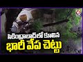 Huge Tree Fell Down In Secunderabad Due To Strong Winds | Hyderabad | V6 News