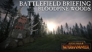 Total War: Warhammer - Battlefield Briefing - Bloodpine Woods