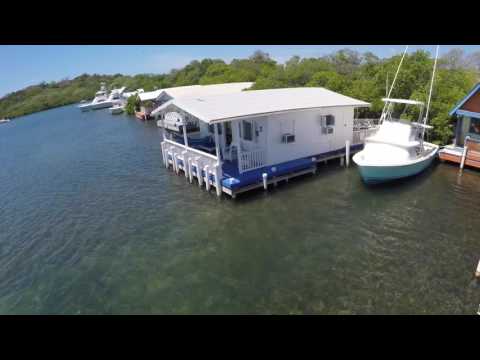 Property video