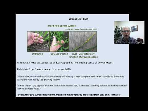 Dr. Paul Rushton explains the beneficial soil and plant enhancer