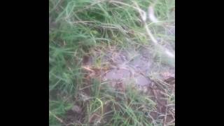 Vecinos reclaman por una pérdida de agua
