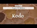 Kodo | Kodo Millet | Kodra | कोडो | #MilletKhazana | Sanjeev Kapoor Khazana