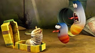 Larva - Mumie