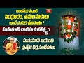 ఆంజనేయస్వామి సింధూరం ప్రాముఖ్యత - హనుమాన్ చాలీసా మహాత్మ్యం | Hanuman Jayanti Special Dharmsandehalu