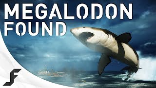 MEGALODON FOUND! Battlefield 4 Giant Shark Easter Egg!