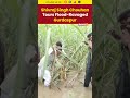 #watch | Shivraj Singh Chouhan Visits Flood-Hit Gurdaspur, Assures Relief Measures #punjabfloods  - 00:46 min - News - Video