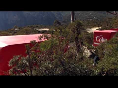 The Coca-Cola Kid'