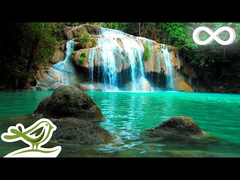 Relaxing Zen Music with Water Sounds • Peaceful Ambience for Spa, Yoga and Relaxation