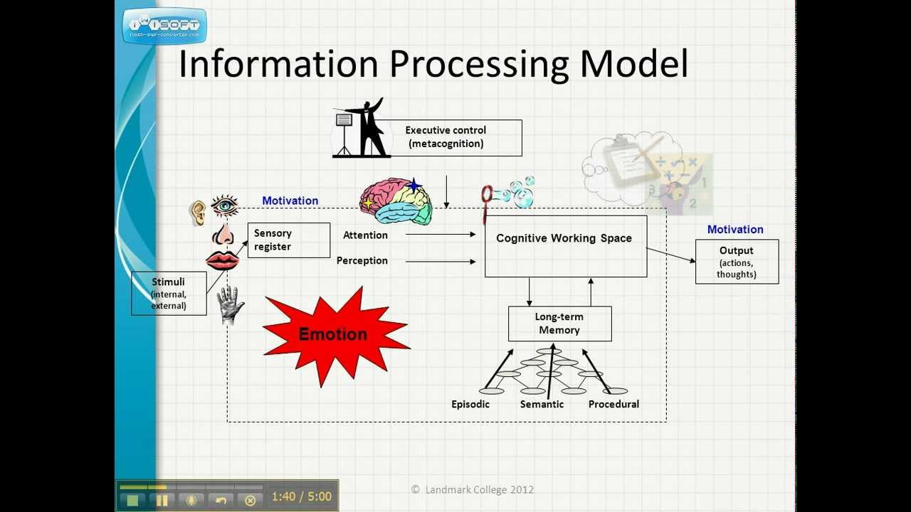 Information Processing Model - YouTube