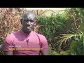 Water filters make dirty Kenya river safe for drinking  - 02:00 min - News - Video