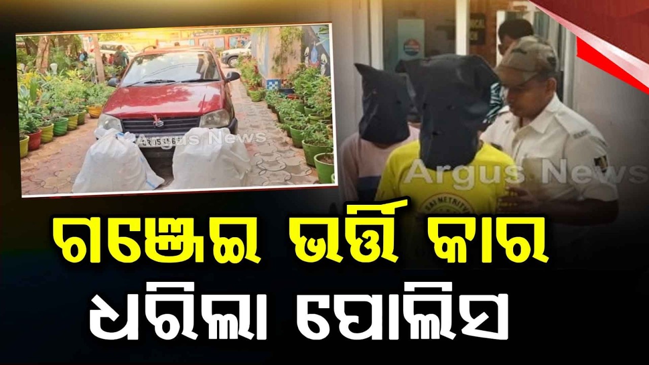Huge Cannabis Haul in Bhanjanagar: 35kg Ganja Seized from Car, 2 Arrested | Argus News