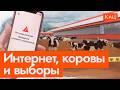 ���� ������ �� ���������  ���� ���������  profit! (English subtitles) @Max_Katz
