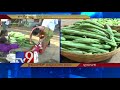 Vegetable prices out of common man's reach