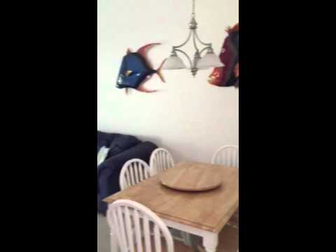 Property video
