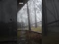 Massive tree hits house due to Hurricane Idalia