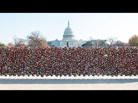 Teleflora “Wall of Love” video ad. Teleflora constructed a 50-foot wide/8-foot high floral wall in Washington, D.C., composed of 1,000 beautiful, handmade floral bouquets to serve as a symbolic outward expression of love—and a universal call-to-action for people to “Love Out Loud!” #Teleflora #LoveOutLoud Teleflora “Wall of Love” video ad. Teleflora constructed a 50-foot wide/8-foot high floral wall in Washington, D.C., composed of 1,000 beautiful, handmade floral bouquets to serve as a symbolic outward expression of love—and a universal call-to-action for people to “Love Out Loud!” #Teleflora #LoveOutLoud