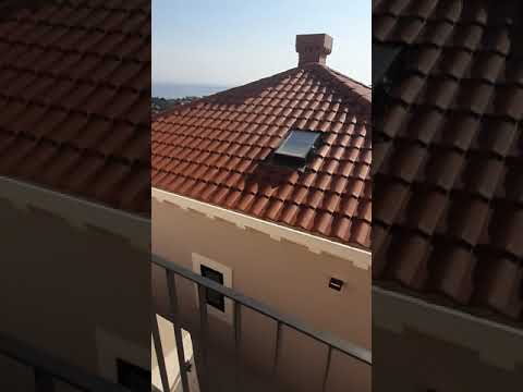 Video realizado por la propiedad