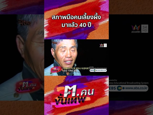 สภาพมือของคนที่เลี้ยงผึ้งมาแล้ว 40 ปี | Shorts ฅ.คนขั้นเทพ