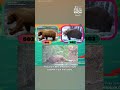 Fat Bear Week has officially begun at Katmai National Park in Alaska!
