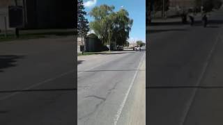 Picadas en la ruta
