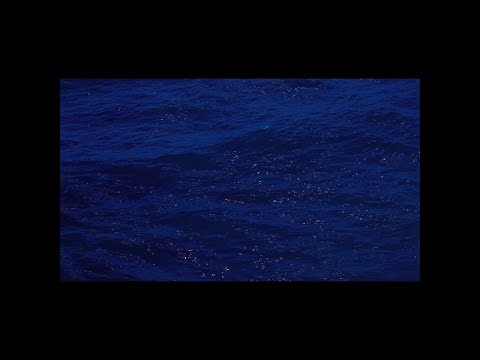 向井太一 / Blue - Acoustic Session with Kosuga Tsuyoshi(cro-magnon)【Official Lyric Video】