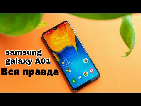 Samsung Galaxy A01 - цены, характеристики, отзывы
