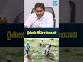 రైతులకు తోడుగా నిలబడాలి #YSJagan #MonthaCyclone #ChandrababuGovt #JaganReviewMeeting