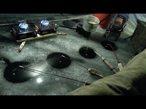 как клюет рыба под водой как клюет рыба под водой