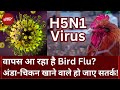 Bird Flu का Jharkhand में प्रकोप, कहां मिला Case, जानें क्या-क्या सावधानी है जरूरी | Virus | H5N1