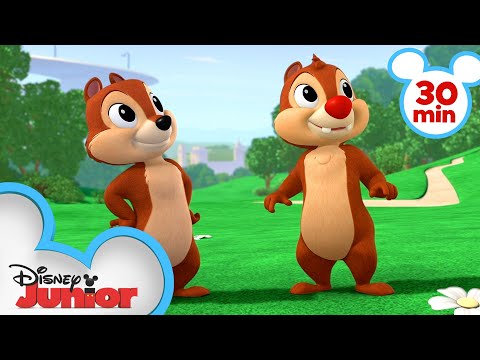 Chip 'n Dale's Nutty Tales'