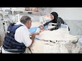 Desperation mounts in Gaza as Palestinians are killed while seeking food aid - 04:46 min - News - Video