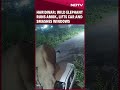 Haridwar: Elephant Goes Amok, Lifts Car And Smashes Its Windows  - 02:24 min - News - Video