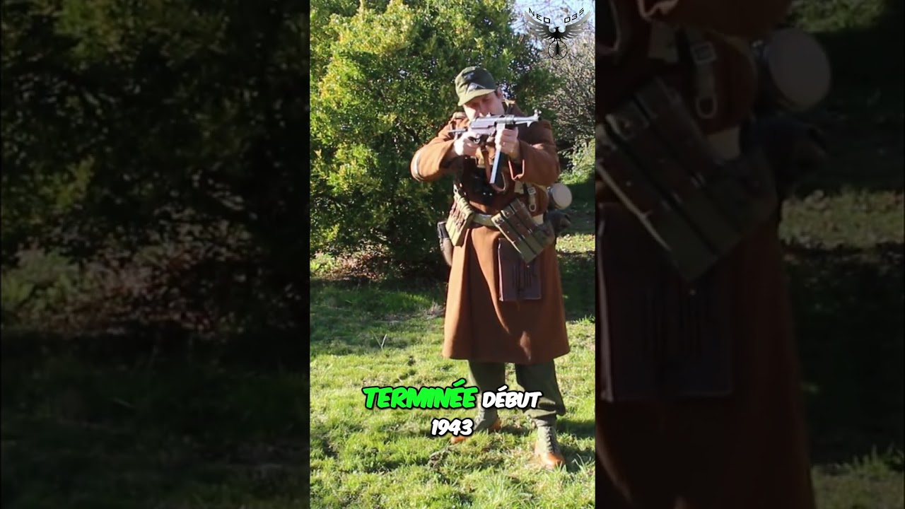 Gourdes Coco: L'Erreur Historique en Afrique du Nord! #shorts