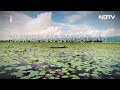 Solutions For A Climate-Resilient Future  - 00:31 min - News - Video
