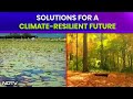 Solutions For A Climate-Resilient Future