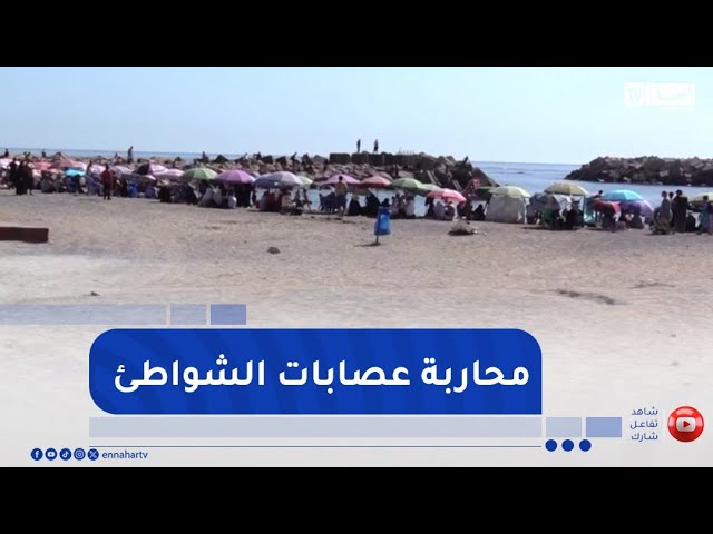 لمحاربة عصابات الشواطئ .. لجان خاصة تقف على مجانية الشواطئ