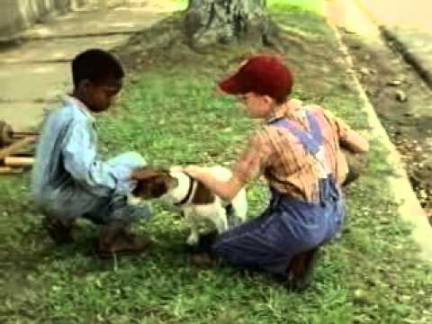 My Dog Skip'