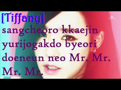 SNSD- Mr.Mr. Lyrics