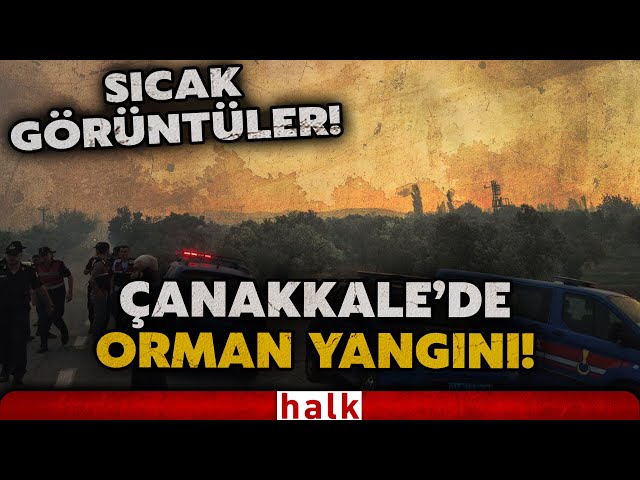 SICAK GÖRÜNTÜLER! Çanakkale Ayvacık'ta orman yangını... İki köyde tahliye işlemleri başladı!