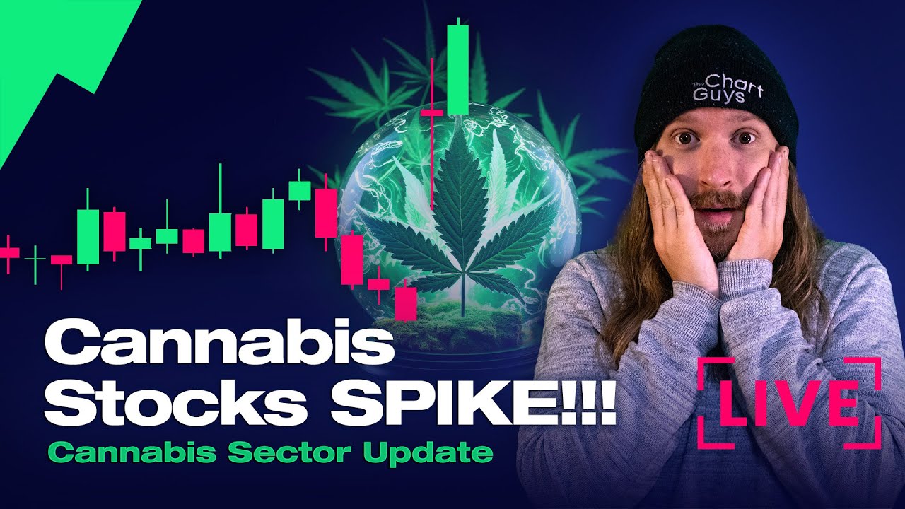 Cannabis Stocks Spike