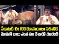 పేకాటకి ఈ 100 రూపాయిలు సరిపోక..? Actor Mohan Babu Best Funny Comedy Scene | Navvula Tv