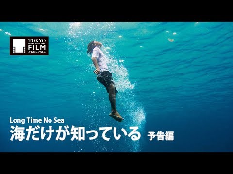 Long Time No Sea'