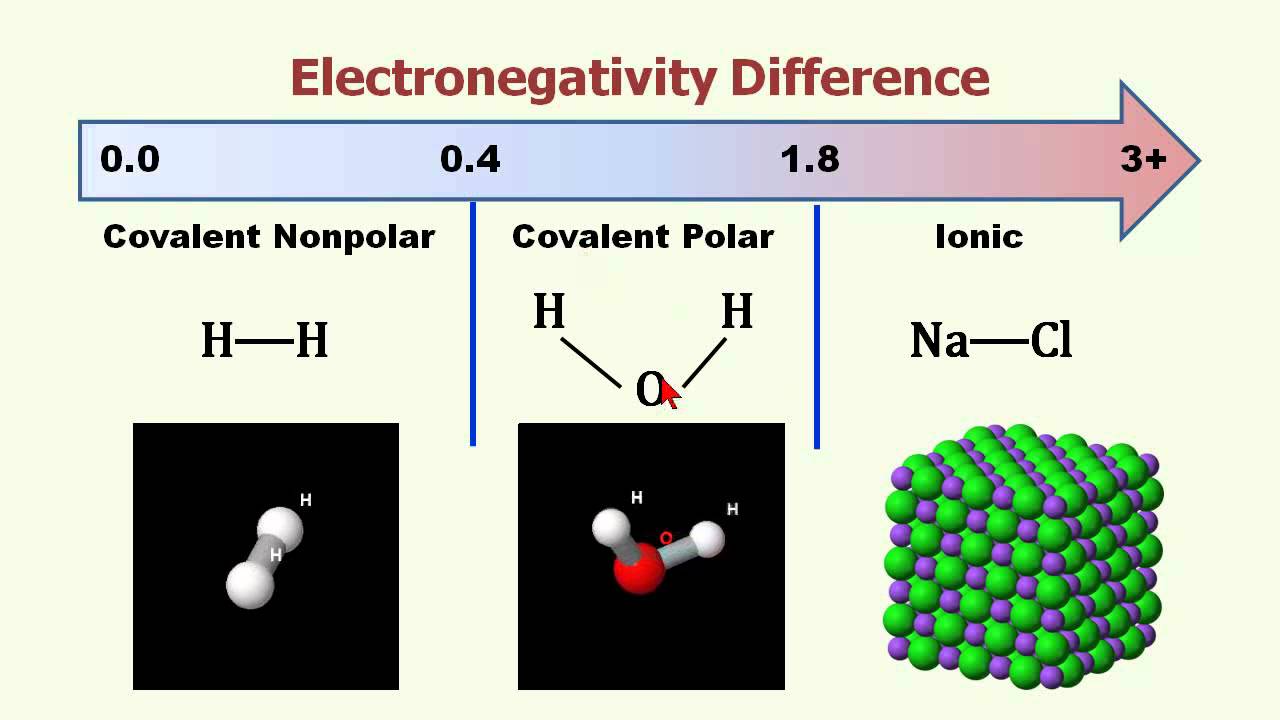 polar bonds show a electronegativity difference between atoms