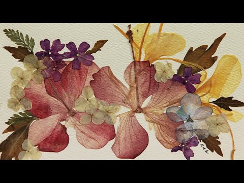 screenshot of youtube video titled Greeting Cards with Dried Flowers